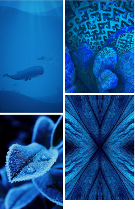 2021秋冬女裝十大流行色 晴空藍(lán)、嫩粉紅等色彩都很美(圖10)